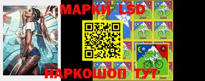 СК Вышний Волочёк