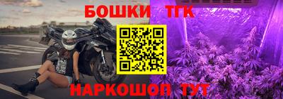 СК Вышний Волочёк