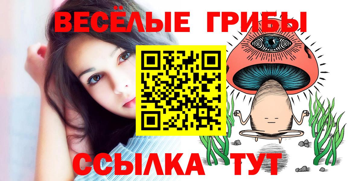 Псилоцибиновые грибы MAGIC MUSHROOMS  Псилоцибиновые грибы Psilocybine cubensis  Первоуральск  Вход с VPN 