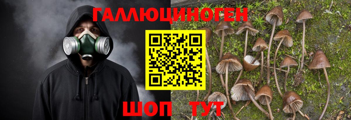Псилоцибиновые грибы Cubensis Первоуральск